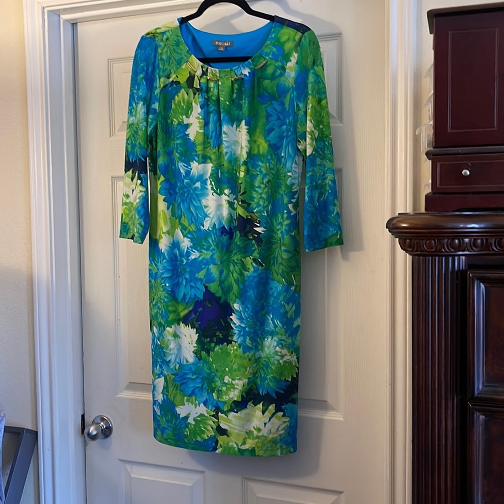 Rod Ali dress size 12